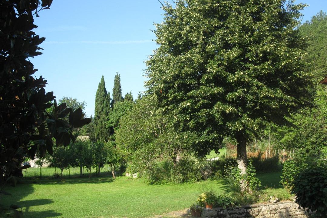 Photo of Others in Bagno di Romagna