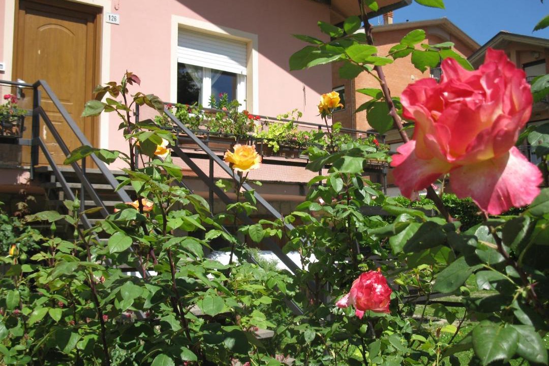 Photo of Others in Bagno di Romagna