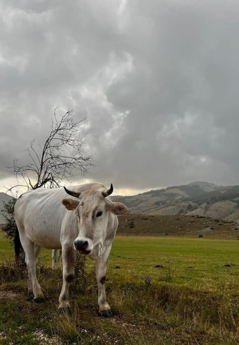Photo of Others in Fiamignano
