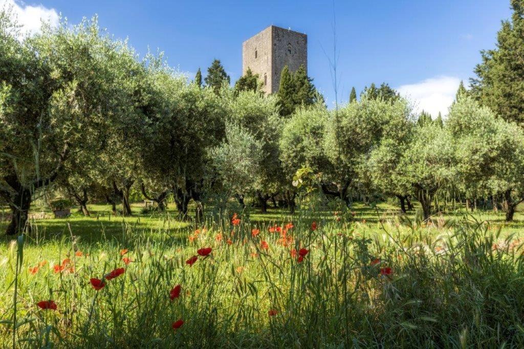 Photo of Others in Montecatini Val di Cecina