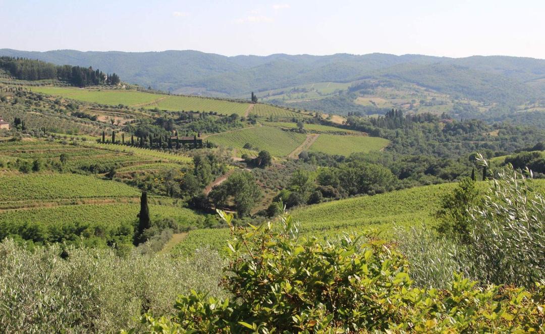 Photo of Others in Panzano in Chianti