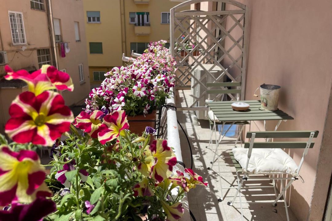 Photo of Others in Quartiere XV Della Vittoria