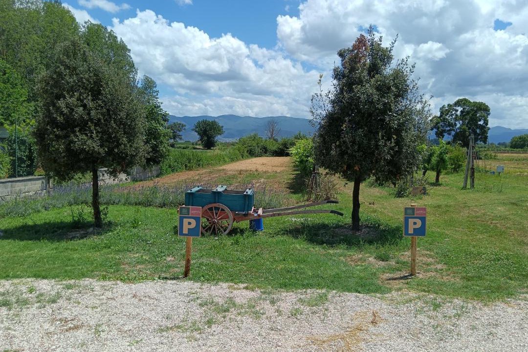 Photo of Others in Montefalco
