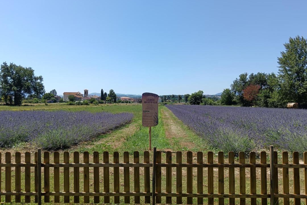Photo of Others in Montefalco