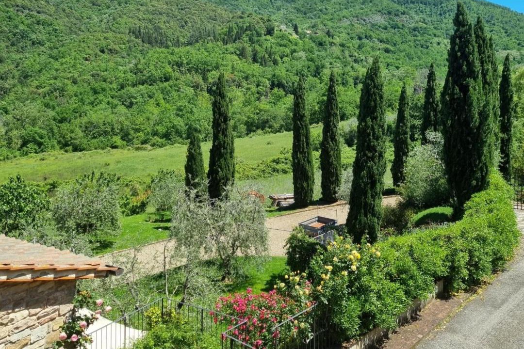 Photo of Others in Greve in Chianti
