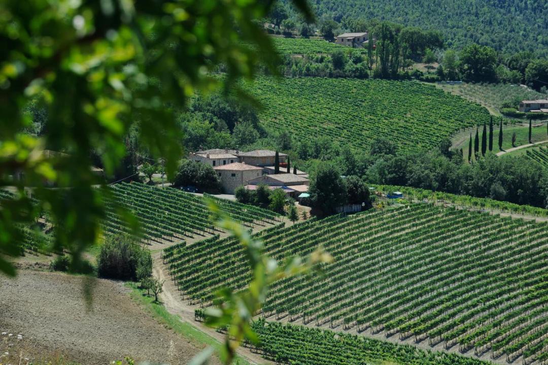 Photo of Others in Montalcino