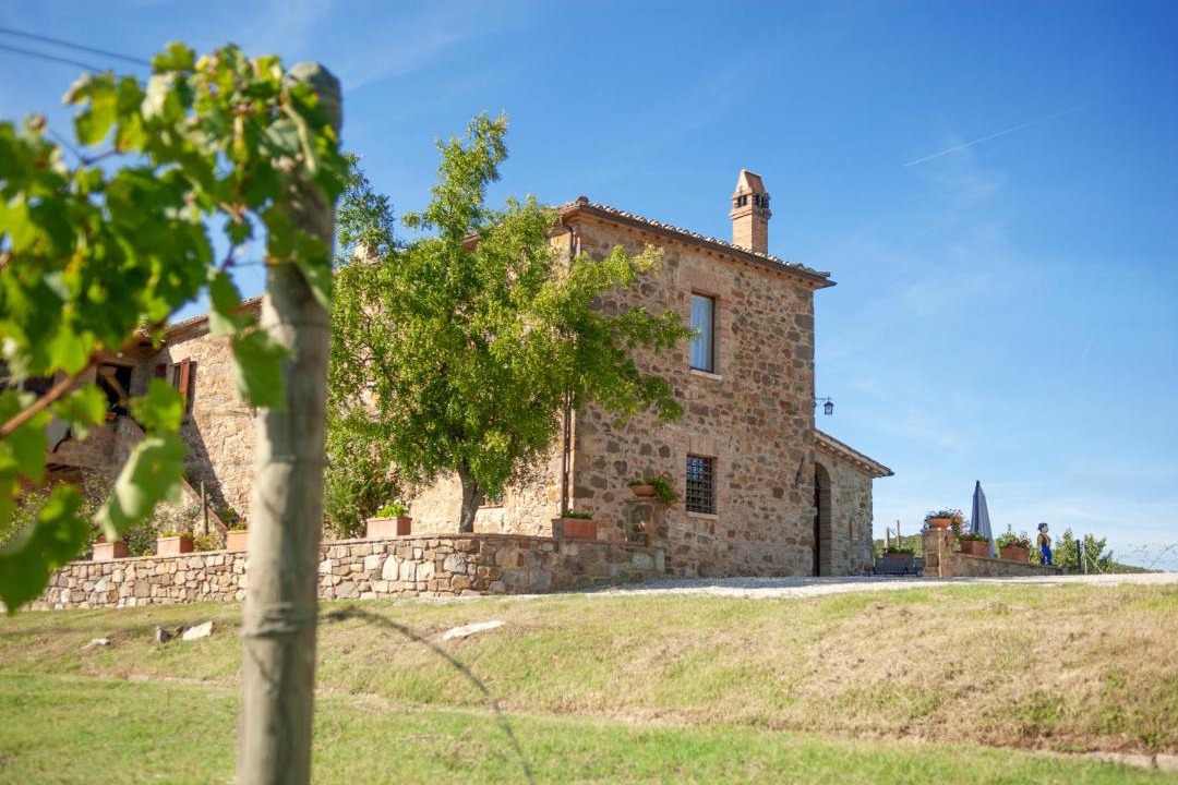 Photo of Others in Montalcino