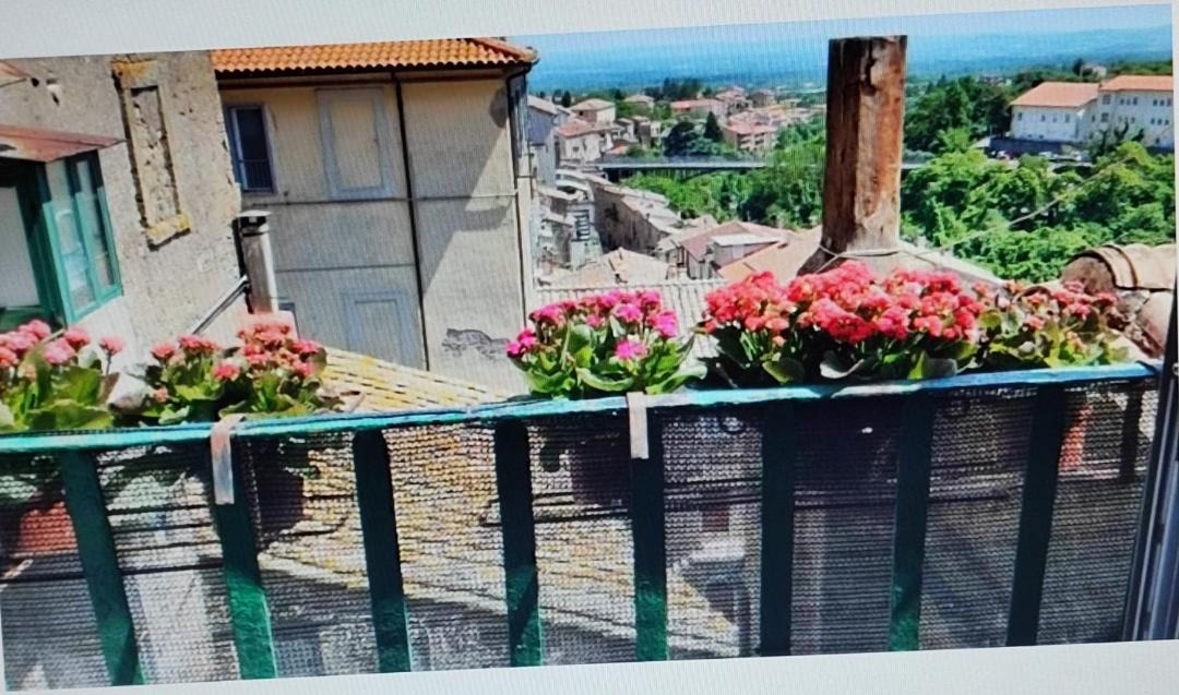 Photo of Others in Caprarola