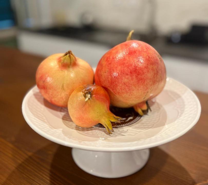 Photo of Others in Castelnuovo di Porto