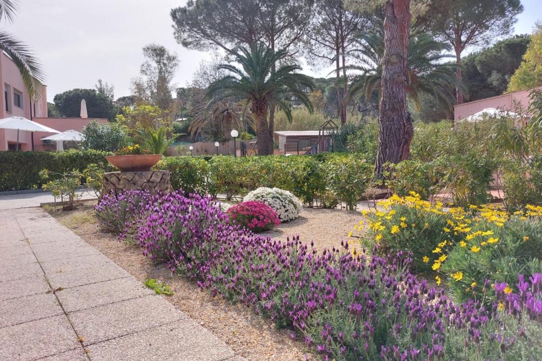 Photo of Others in Lido di Capoliveri