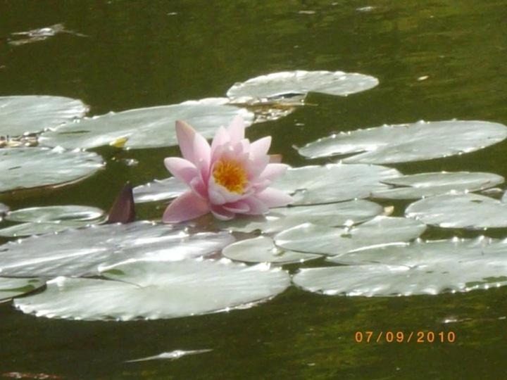 Photo of Others in Introdacqua