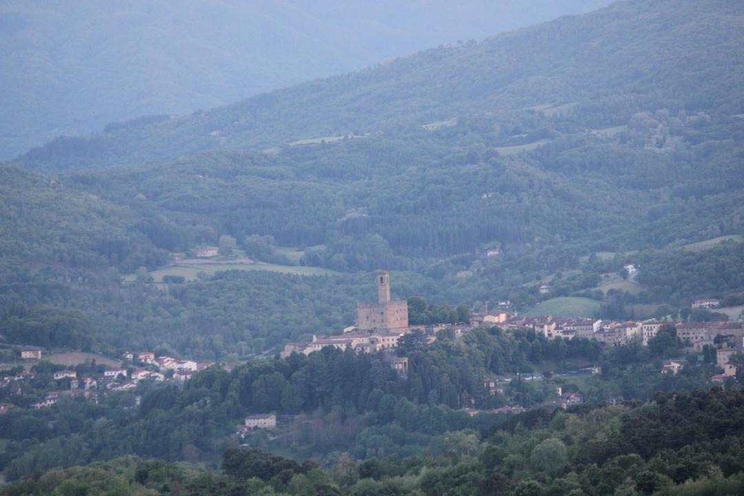 Photo of Others in Poppi
