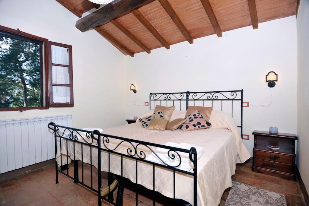 Photo of Others in Paciano