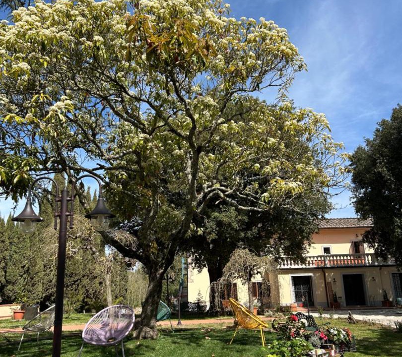 Photo of Others in Simignano