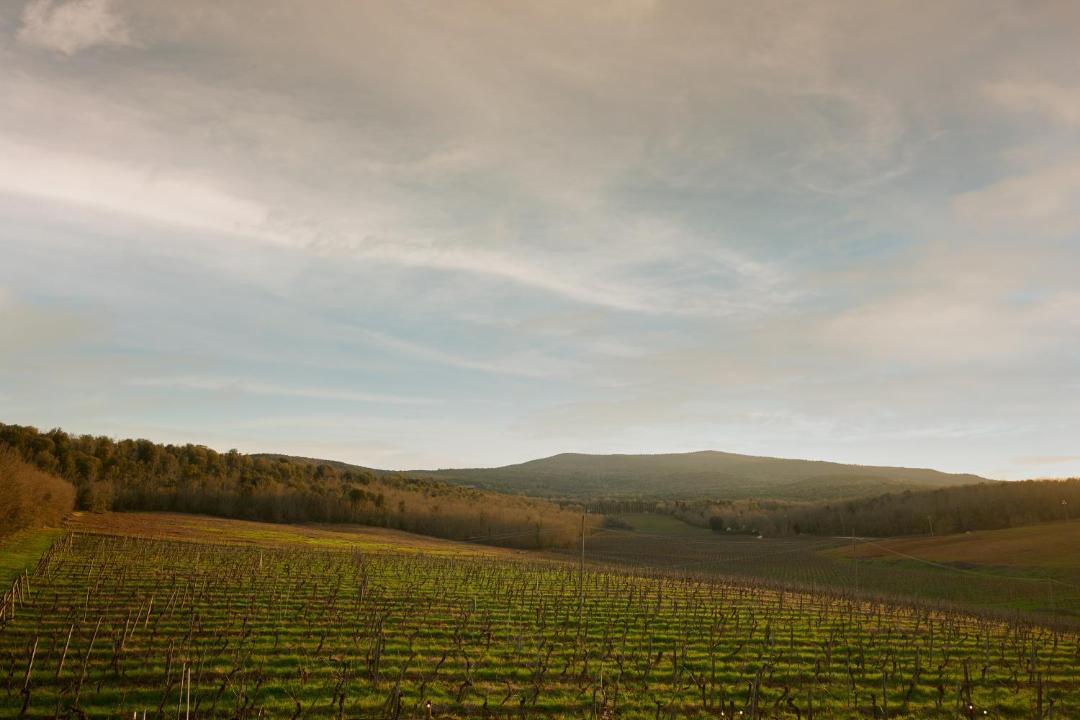 Photo of Others in Monteriggioni