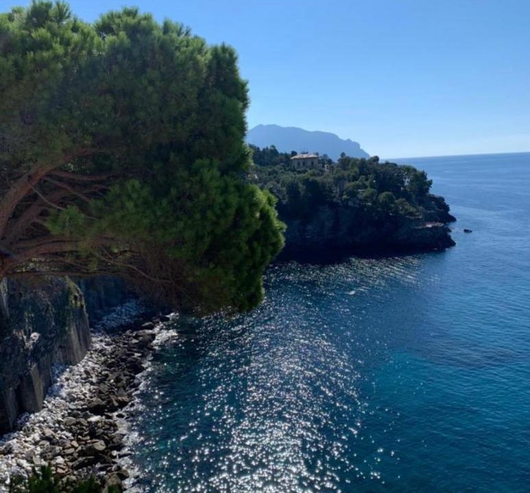 Photo of Others in Pieve Ligure