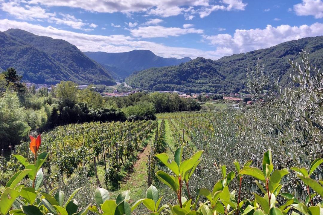 Photo of Outdoor in Bagni di Lucca