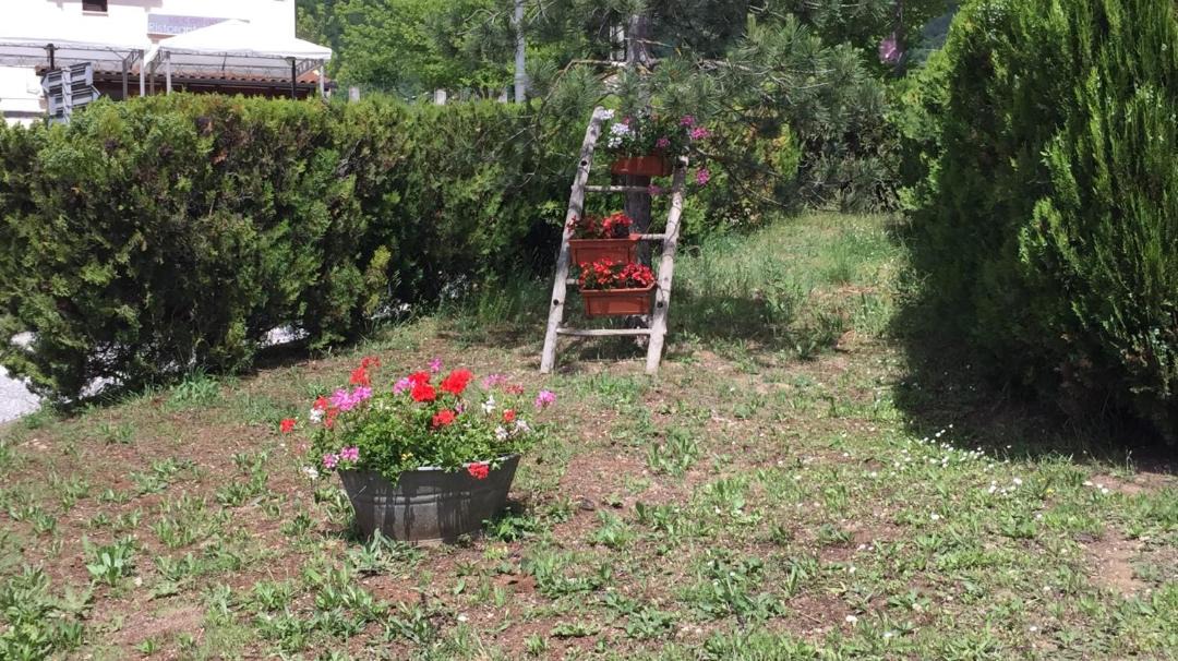 Photo of Others in Acciano