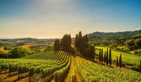 Photo of Outdoor in Sarteano