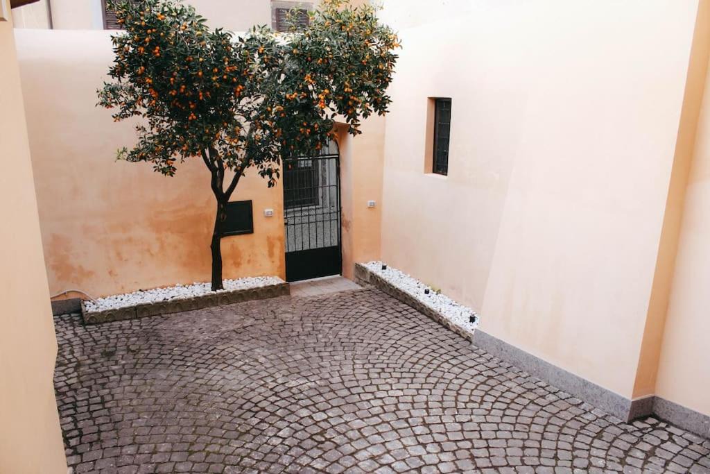 Photo of Others in Tuscania