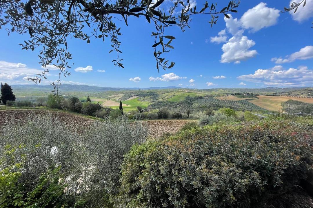 Photo of Others in Monte Antico Alto