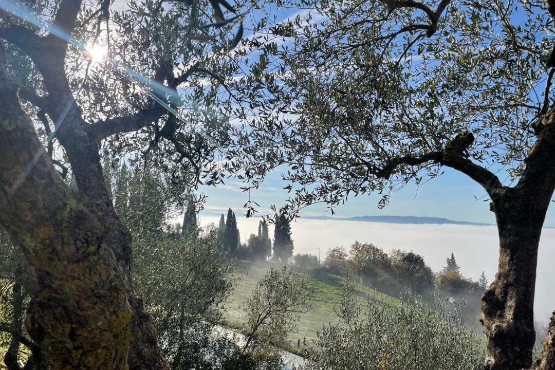 Photo of Others in Monte Antico Alto