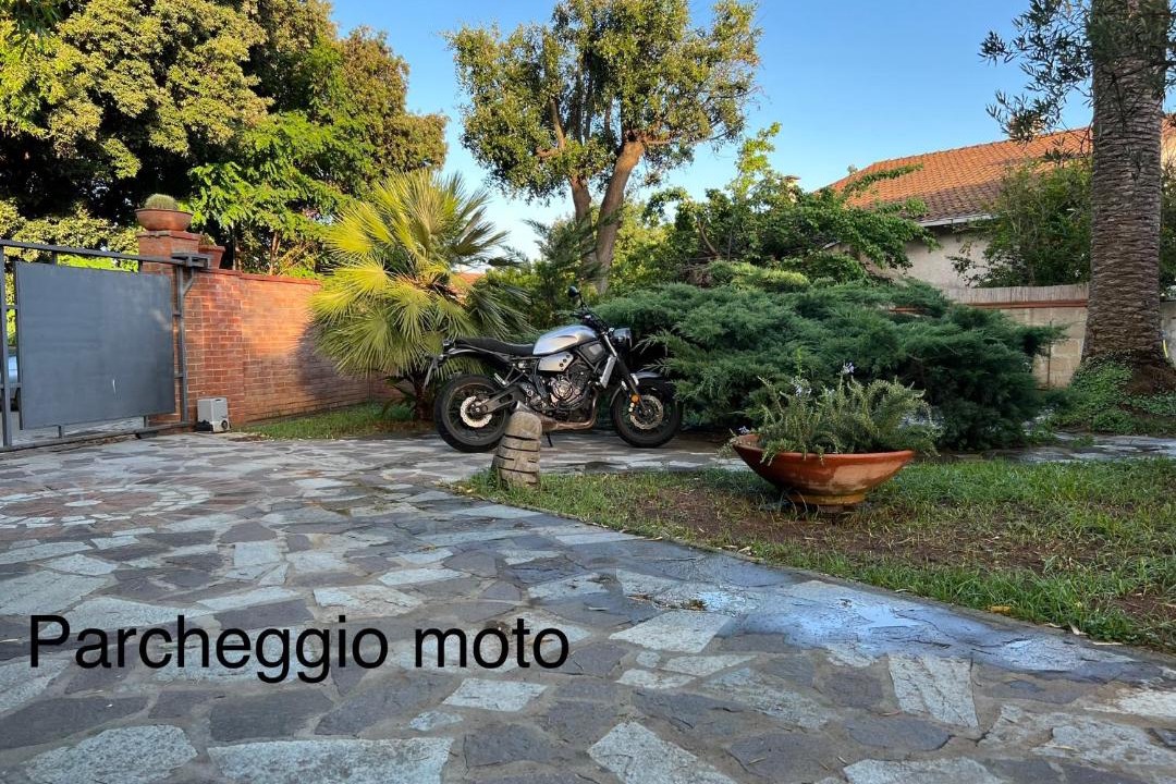 Photo of Others in Piombino