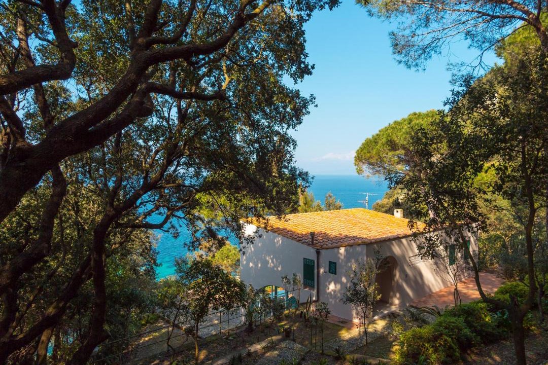 Photo of Others in Portoferraio