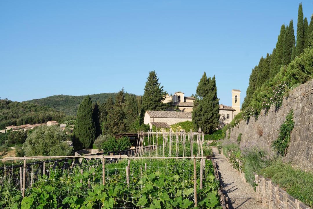 Photo of Others in Castiglione del Bosco