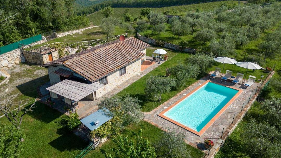 Photo of Others in Gaiole in Chianti