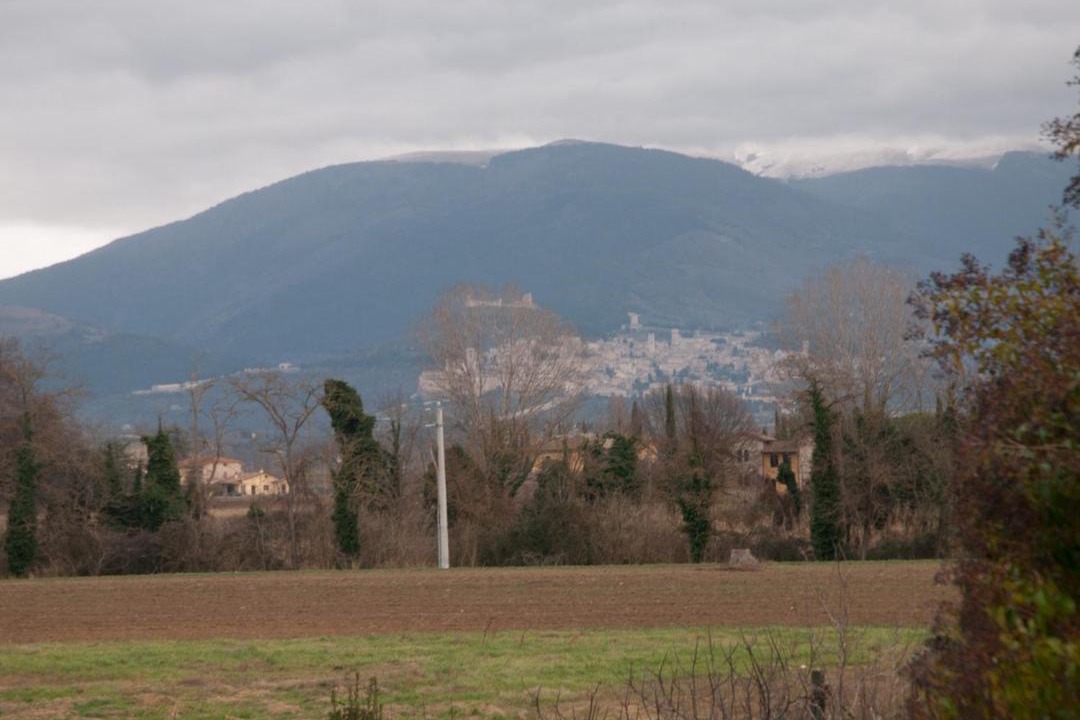 Photo of Others in Bastia Umbra