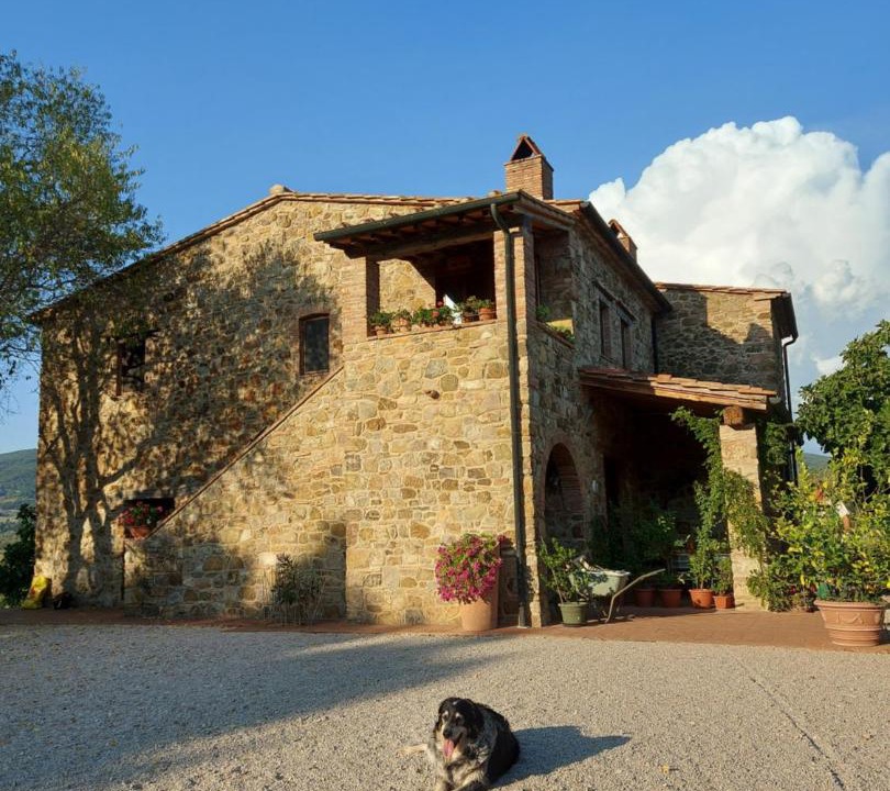 Photo of Others in Monterotondo Marittimo