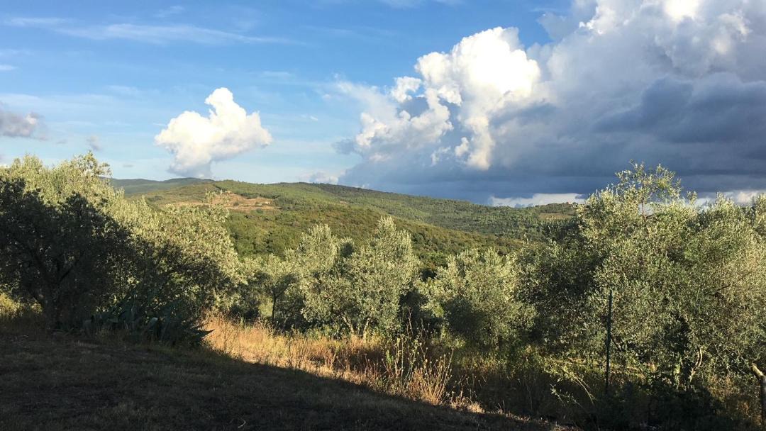 Photo of Others in Monterotondo Marittimo