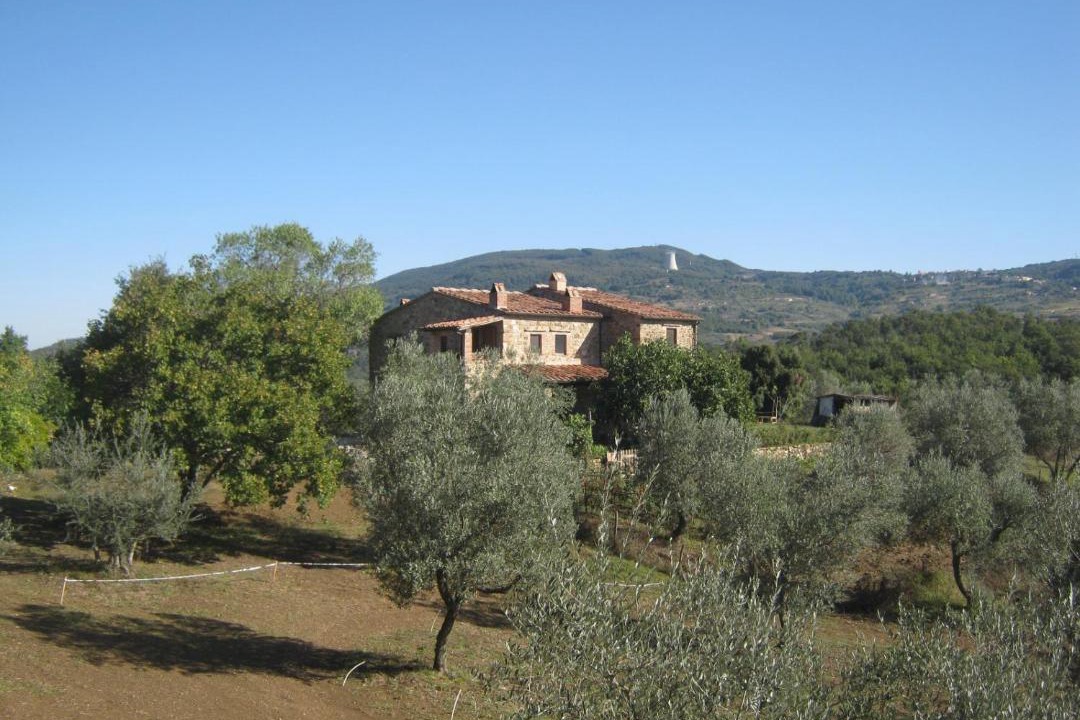 Photo of Others in Monterotondo Marittimo