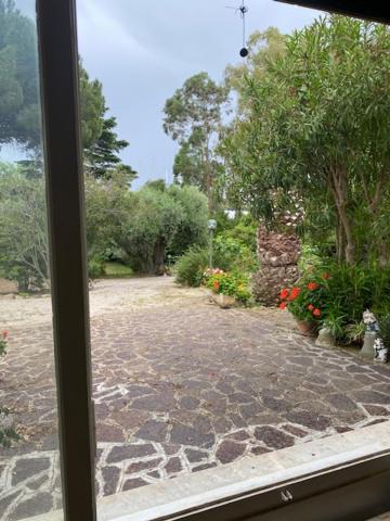 Photo of Others in Vigneria