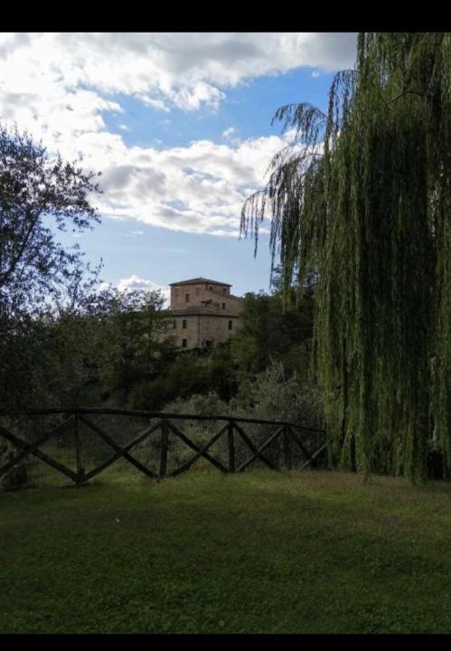 Photo of Others in Torre A Castello