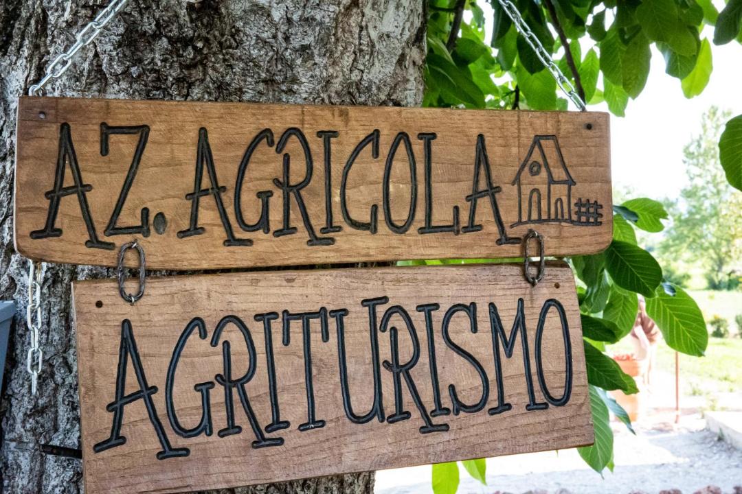 Photo of Others in Montefalco
