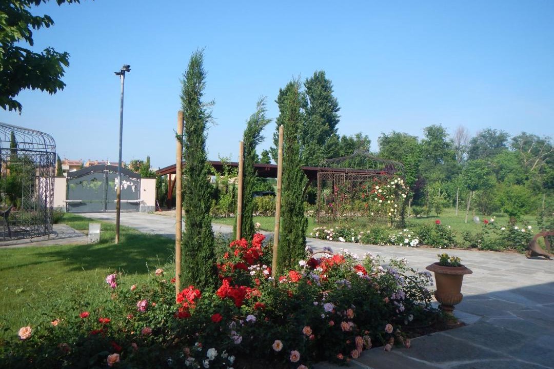 Photo of Others in Castel San Pietro Terme