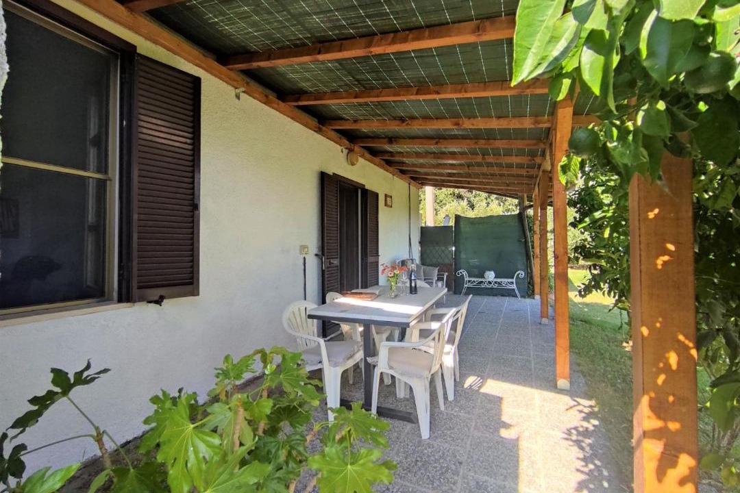 Photo of Others in Scansano
