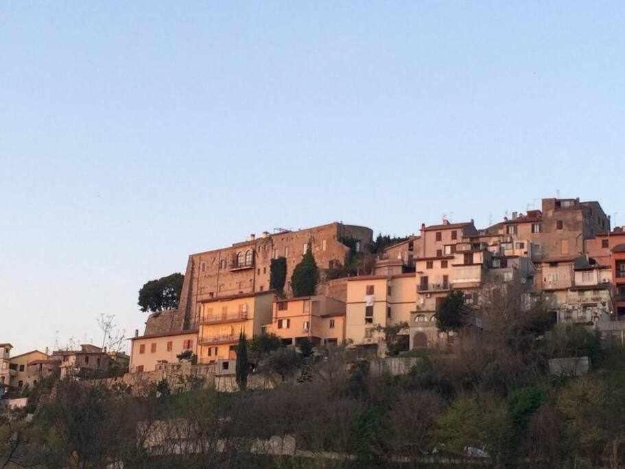Photo of Others in Montelibretti