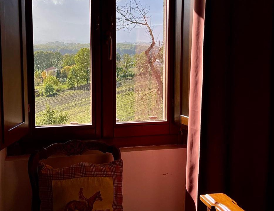 Photo of Others in Paliano