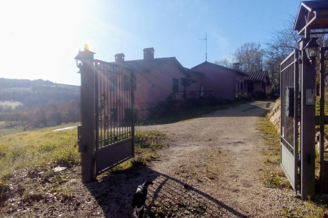 Photo of Others in Penna in Teverina