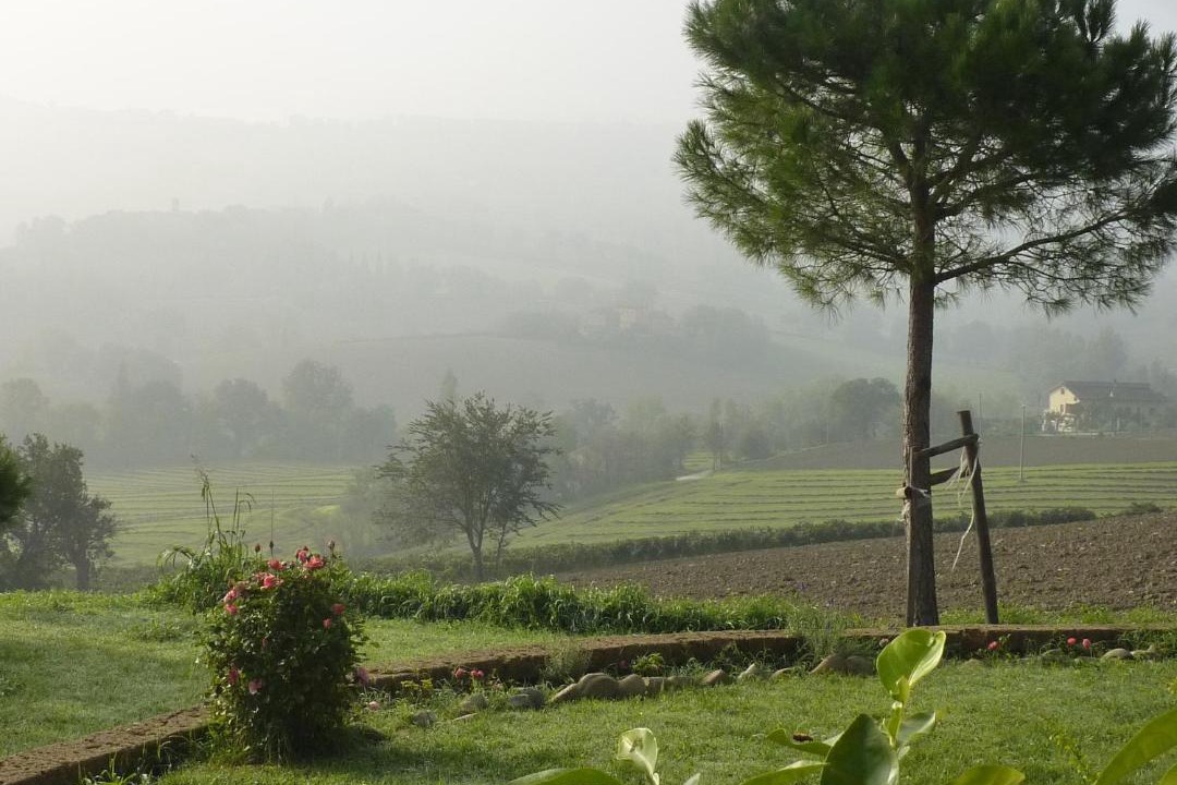 Photo of Others in Montecarotto