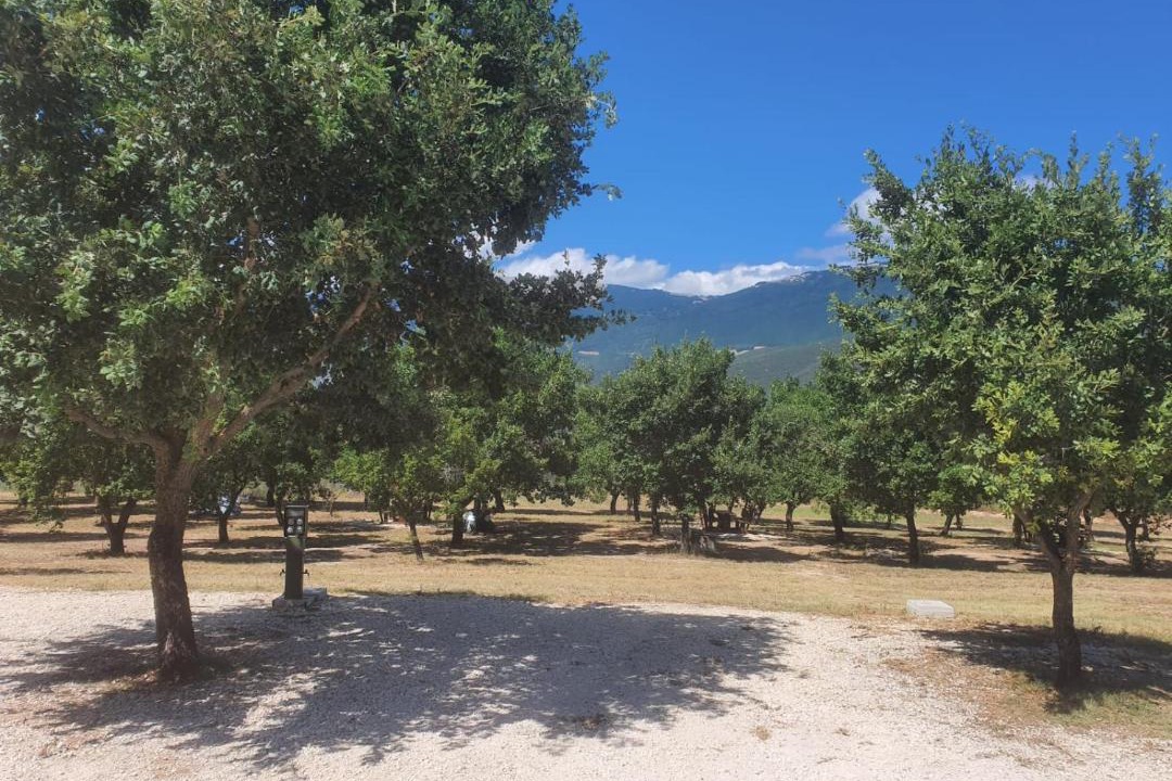 Photo of Others in Capestrano