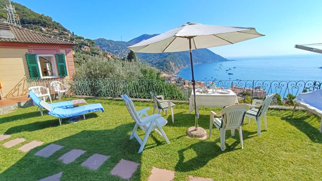 Photo of Others in Camogli