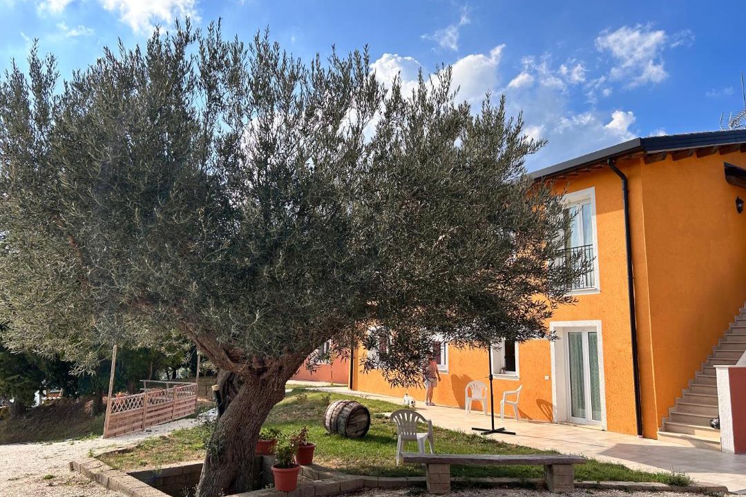 Photo of Others in San Severino Marche