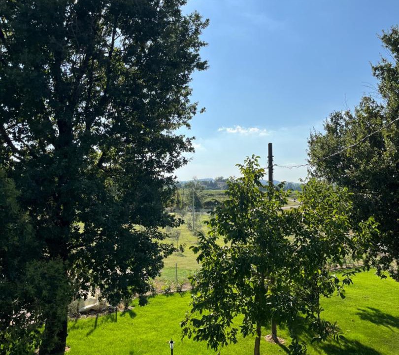 Photo of Others in Oriolo dei Fichi