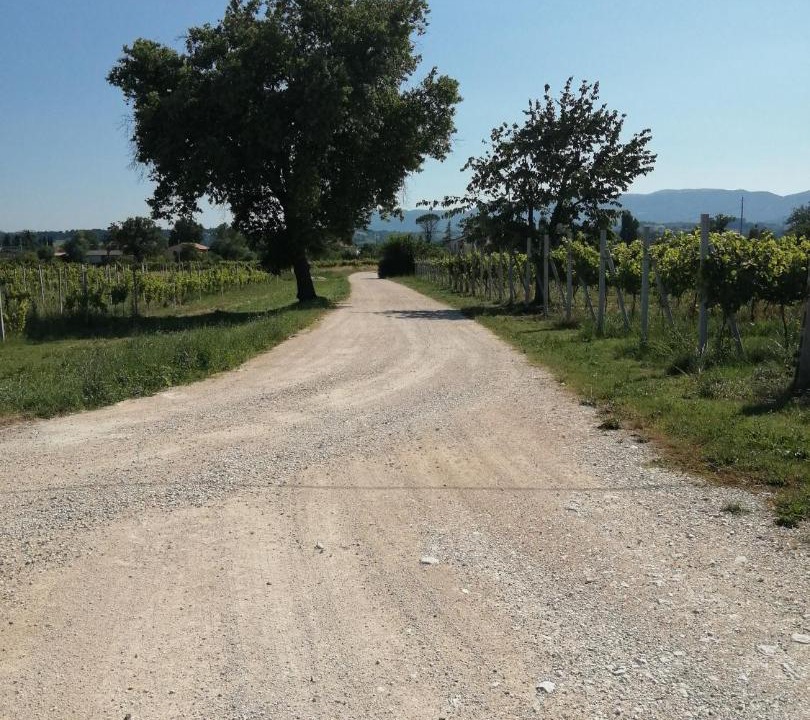 Photo of Others in Montefalco