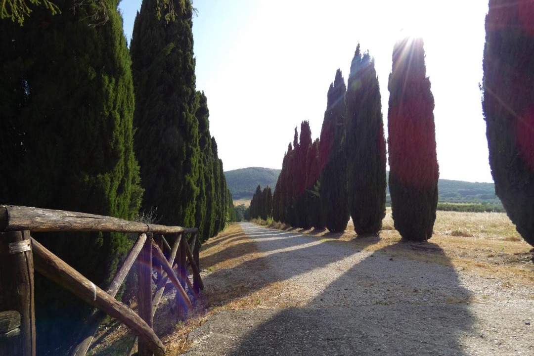 Photo of Others in Montecchio