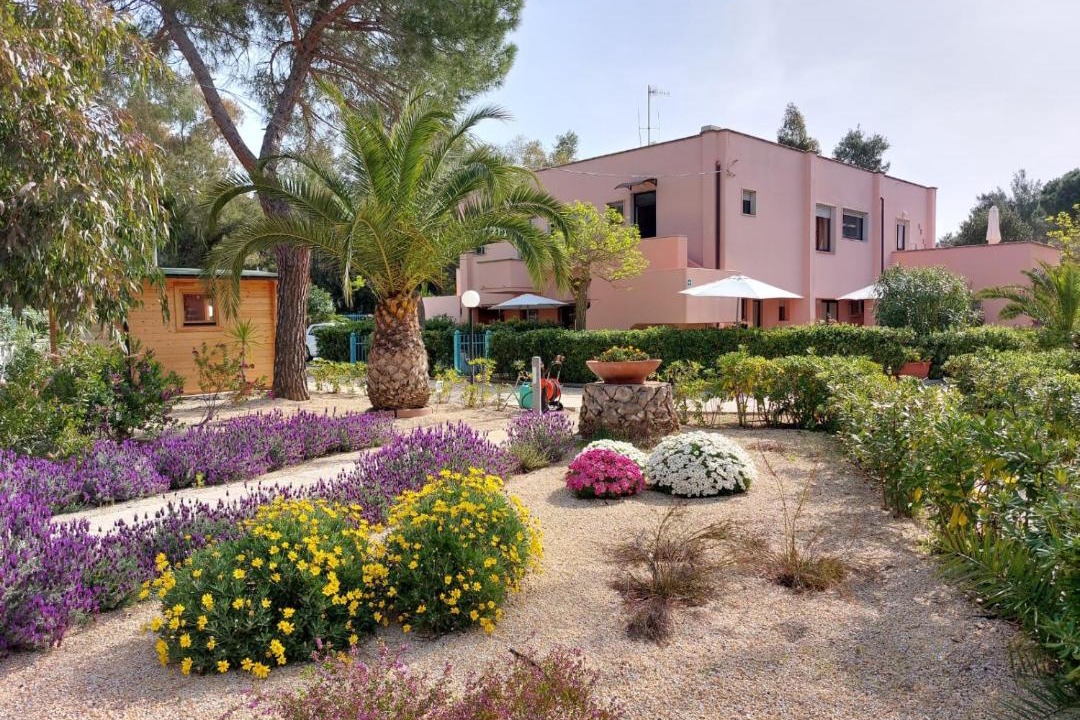 Photo of Others in Lido di Capoliveri